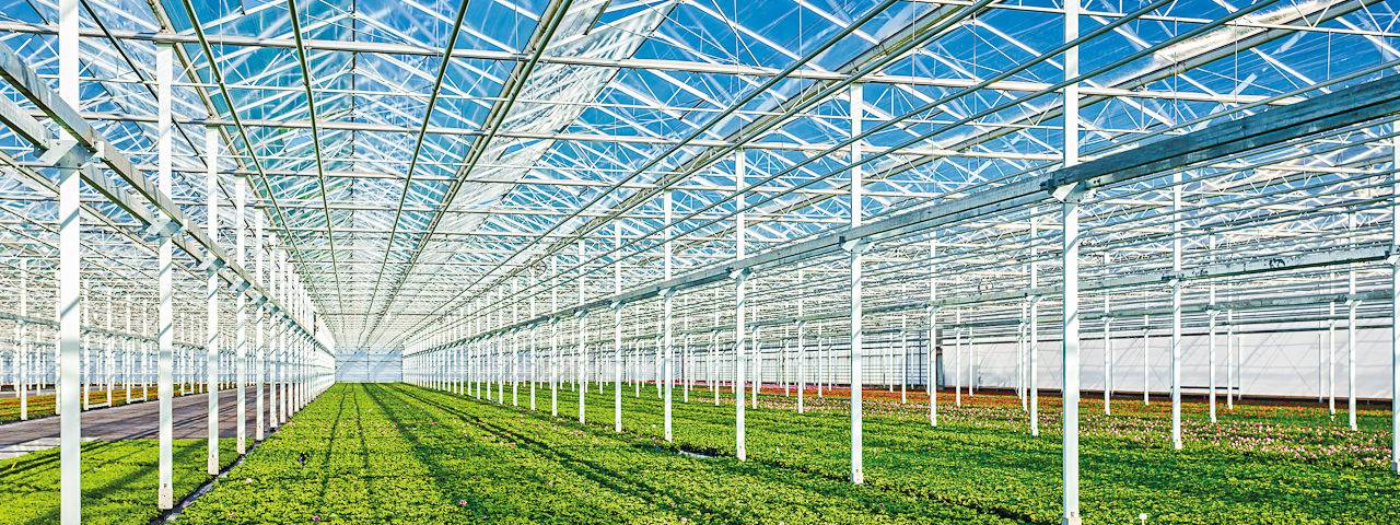 irrigazione agricola irrigazione agricola