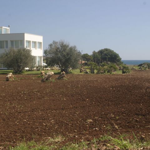 Realizzazione impianto d&#039;irrigazione su giardino a Noto, Siracusa, Sicilia