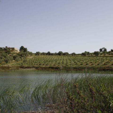Impianto di subirrigazione in contrada Busulmona, Noto, Siracusa