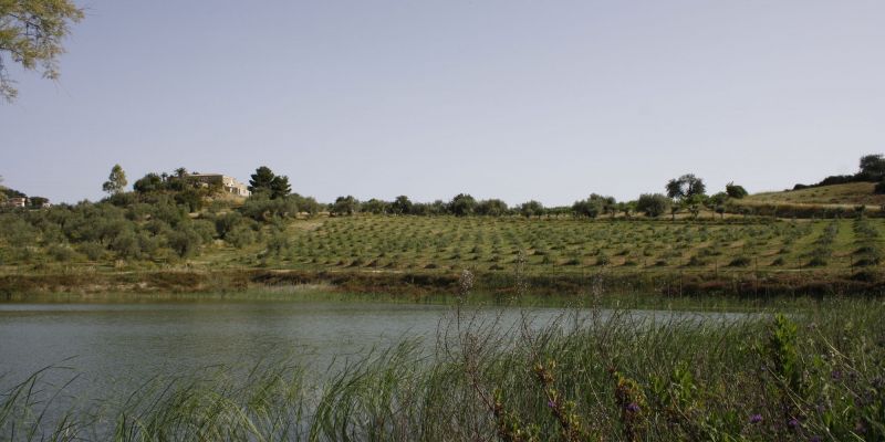 Impianto di subirrigazione in contrada Busulmona, Noto, Siracusa