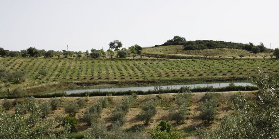 invaso raccolta acqua piovana siracusa