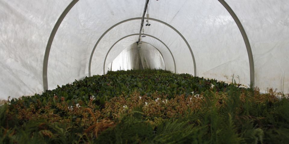 particolare fogger mini-tunnel