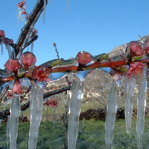 Sistemi di protezione per colture in pieno campo e in serra