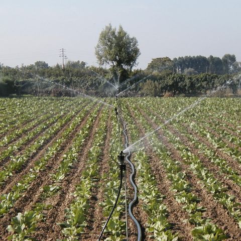 Irrigatori e stand grandi gittate