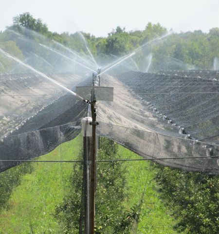 Sprinkling and drip irrigation integrated systems