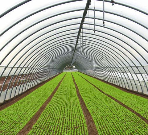 Micro irrigatori dinamici - statici - capovolti