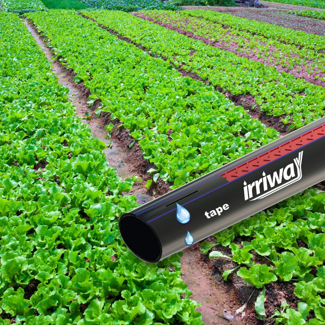 Tape/manichetta Irriway per irrigazione a goccia colture stagionali