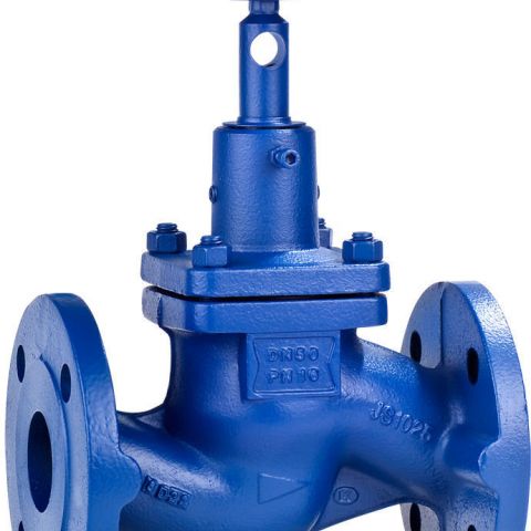 Globe valve